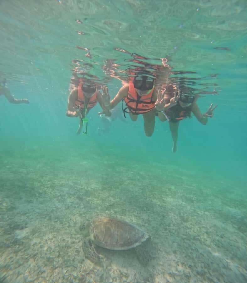 Akumal: Swim in Yalkuito and a cenote water outlet + Snorkel with turtles - Cost and Value