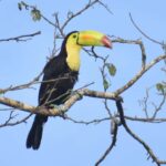 Akumal: Uxuxubi Ecotourism Trip with Kayaking - The Itinerary in Detail