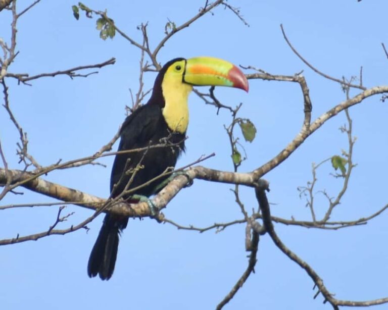 Akumal: Uxuxubi Ecotourism Trip with Kayaking - The Itinerary in Detail