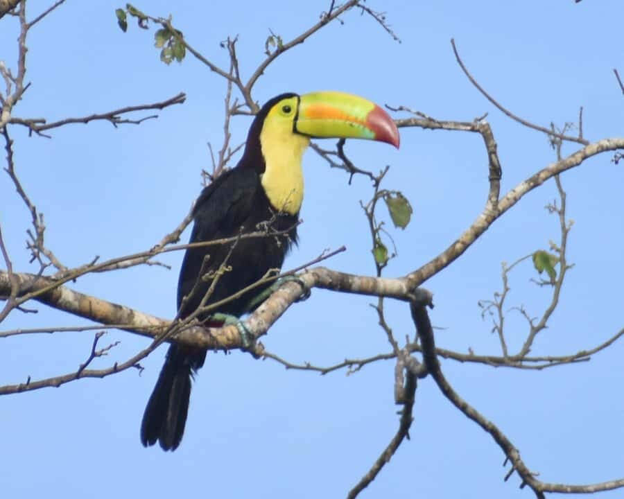 Akumal: Uxuxubi Ecotourism Trip with Kayaking - The Itinerary in Detail