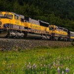 Alaska Railroad Denali to Fairbanks One Way - Final Thoughts