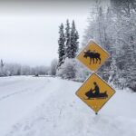 Alaska Snowmobile Adventure Tour - The Authentic Experience and Who Will Love It