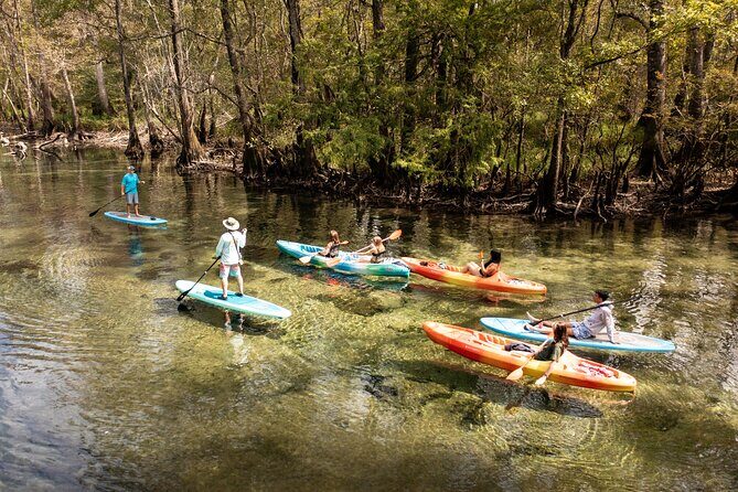 All Inclusive Cypress Springs Eco Adventure with GoPro - What Makes This Tour Stand Out?