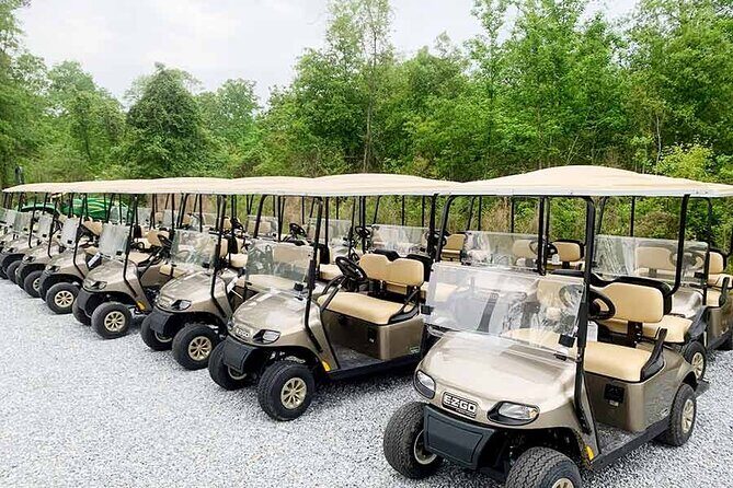 All Inclusive Golf Cart Xperience - Perfect Cruise Shore Xcursion - A Closer Look at the All Inclusive Golf Cart Xperience