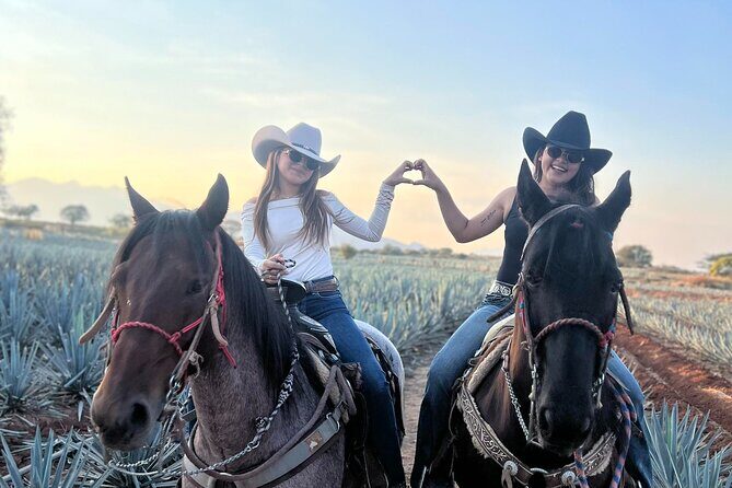 All-Inclusive Tequila, History and Adventure in Rancho Agavero - Exploring the Archaeological Site at Santa Quiteria