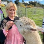 Alpaca Walking Adventure in Scenic Carmel Valley - Who Should Consider This Experience?