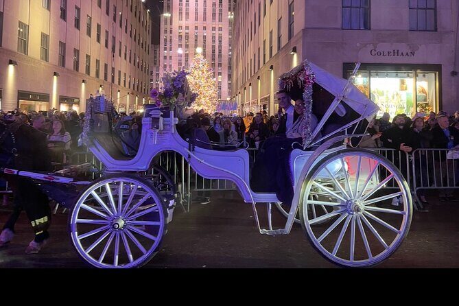 Amazing Horse and Carriage Rockefeller and Christmas lights tour - A Close Look at the Experience