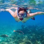 Amazing Snorkeling Experience in Cancun - A Deep Dive into the Cancun Snorkeling Tour