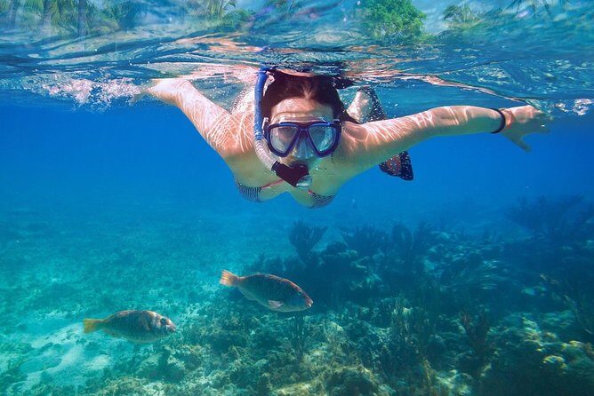 Amazing Snorkeling Experience in Cancun - A Deep Dive into the Cancun Snorkeling Tour
