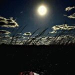 Amelia Full Moon Paddle at Talbot Islands State Park - A Closer Look at the Amelia Full Moon Paddle