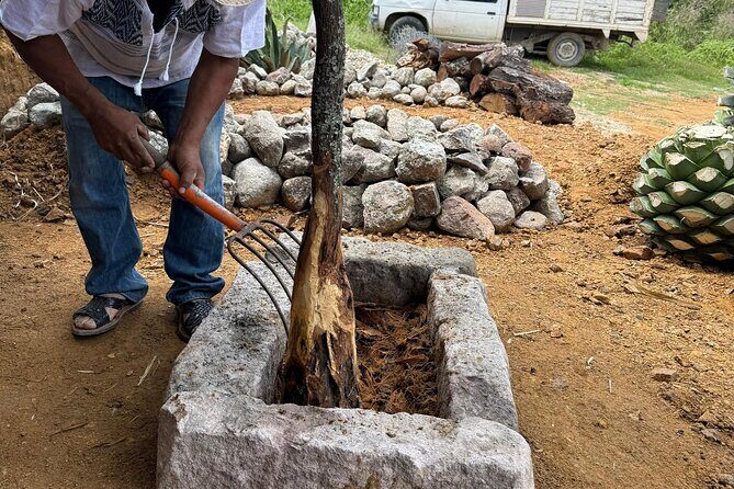 Ancestral Mezcal Tour Experience A pre Hispanic Heritage - The Itinerary in Detail