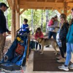 Anchorage: Dog Sled Ride in Willow with Transfers - A Closer Look at the Tour Itinerary and Experience