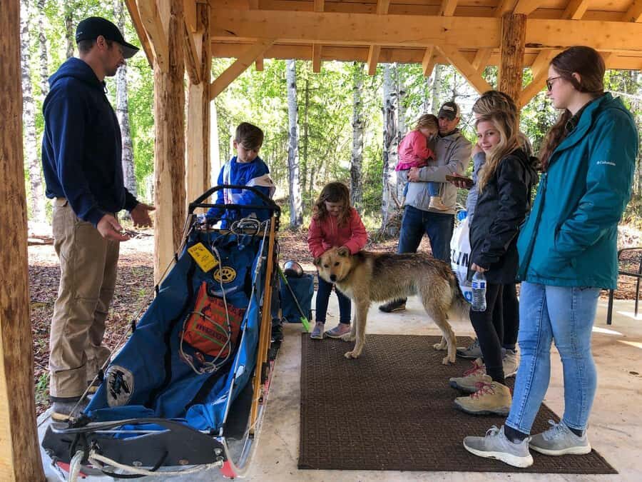 Anchorage: Dog Sled Ride in Willow with Transfers - A Closer Look at the Tour Itinerary and Experience