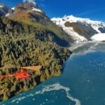 Anchorage: Prince William Sound Tour with Landing - Wildlife and Scenic Highlights from the Sky