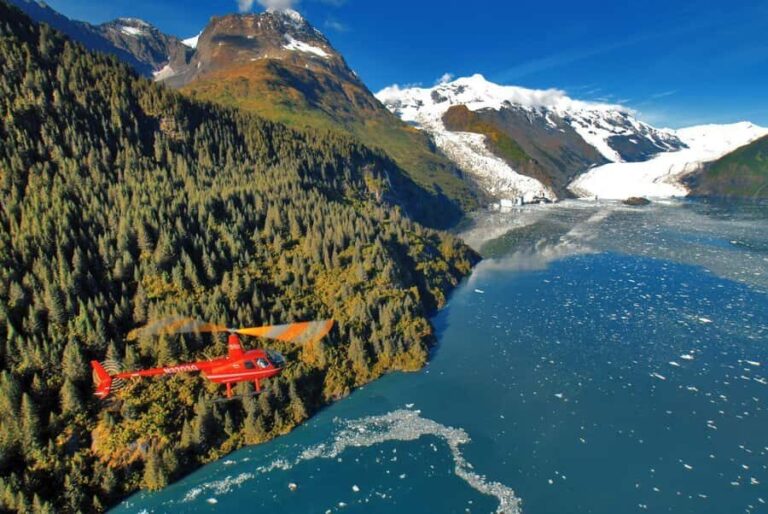 Anchorage: Prince William Sound Tour with Landing - Wildlife and Scenic Highlights from the Sky