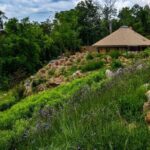 Ancient Lore Village Scenic Tour and Lunch - Potential Drawbacks and Considerations