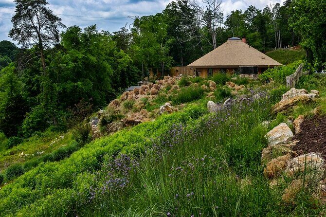 Ancient Lore Village Scenic Tour and Lunch - Potential Drawbacks and Considerations