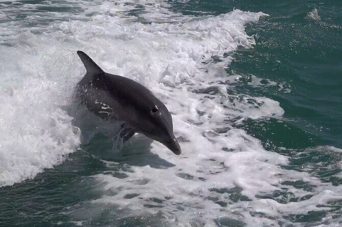 Anna Maria Island Build your own adventure 6 hour - Who Will Love This Tour?