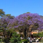 Antigua Walking Tour Morning and Afternoon - Why This Tour Works