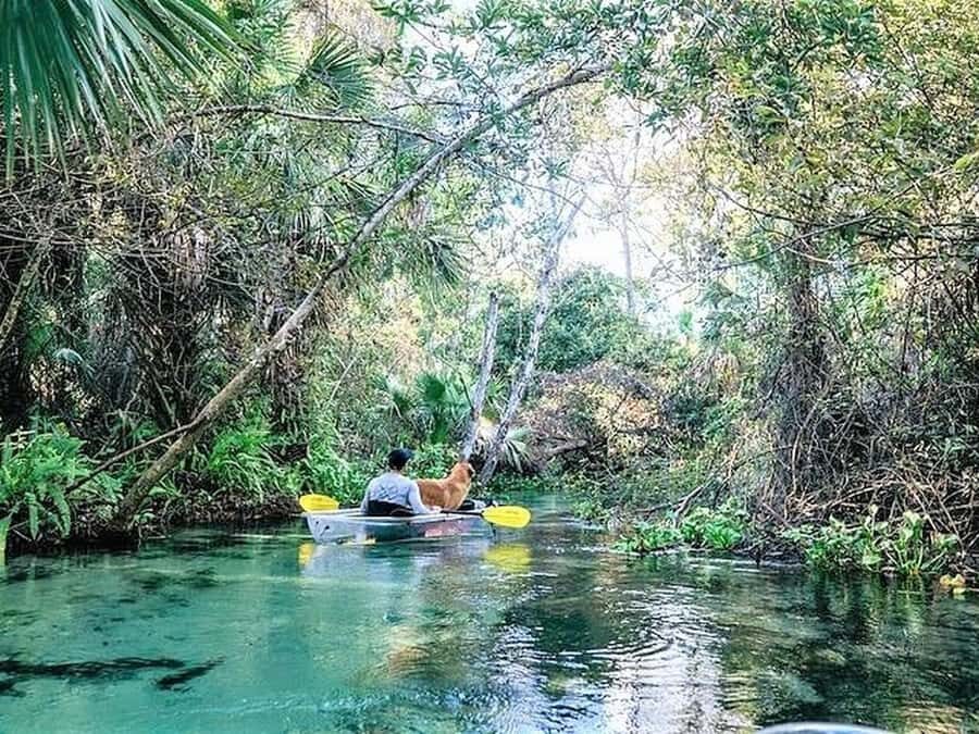 Apopka: Rock Springs Clear Kayak Tour - FAQ