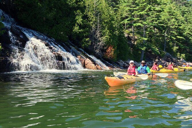 Aqua Safari Kayak tour departing Southwest Harbor - FAQ