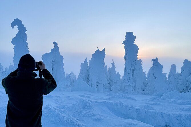 Arctic Circle Northern Lights Dalton Highway Winter Tour - Why Travelers Rave About This Tour