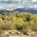 Arizona: Great Western Trail Jeep Tour at Rio Verde - What to Expect from the Arizona Great Western Trail Jeep Tour
