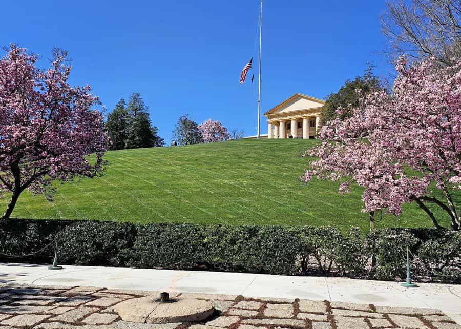 Arlington National Cemetery: 2.5 hour Guided Walking Tour - An Authentic Look at Arlington National Cemetery