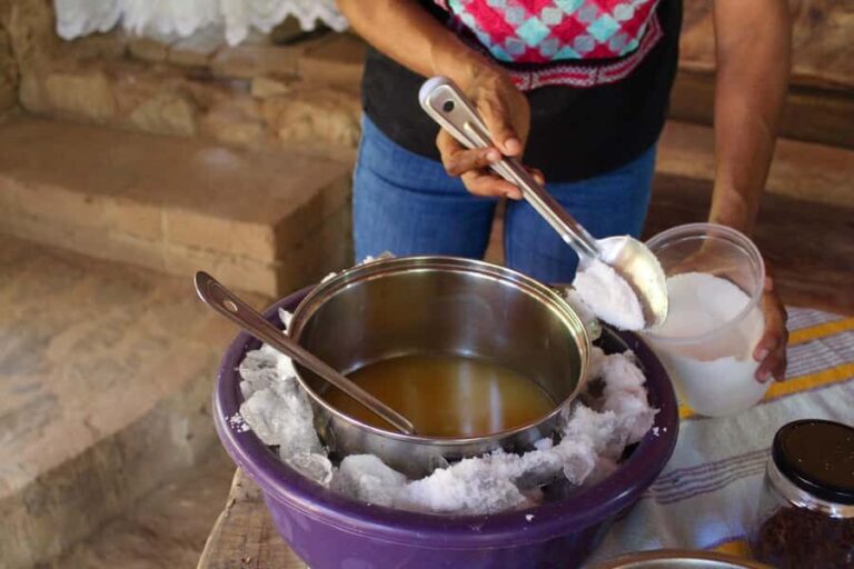 Artisanal Ice Cream Workshop: Huatulco - What to Expect on the Artisanal Ice Cream Workshop