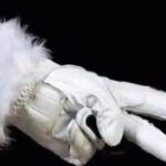 Asheville Holiday Season City Tour - What You’ll See and Experience