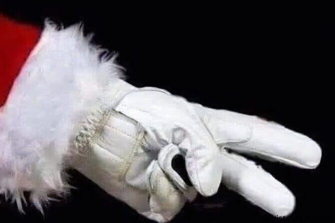 Asheville Holiday Season City Tour - What You’ll See and Experience