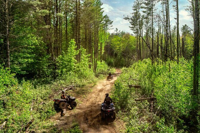 ATV Rentals for Outdoor Adventure near Orlando and Tampa - The Sum Up