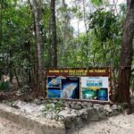 ATV Tour in Playa del Carmen with Zip Lines - An In-Depth Look at the Adventure