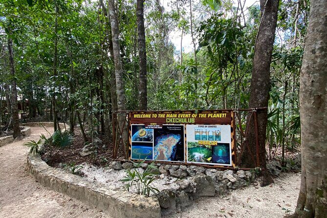 ATV Tour in Playa del Carmen with Zip Lines - An In-Depth Look at the Adventure