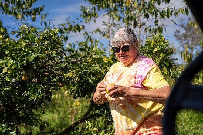 ATV Tour to Buddha Cup Coffee Farm - Exploring the Buddha’s Cup Coffee Farm ATV Tour in Depth