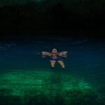 ATV Tour, Ziplines, Mayan Cenote, Tacos, Tequila and Transport - The Logistics and Practicalities