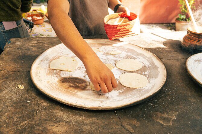 Authentic Cooking Class in Chinampa Xochimilco - A Thorough Breakdown of the Itinerary