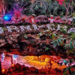 Authentic Yucatán Expedition Homun Cenotes & Local Villages - Price and Value Analysis