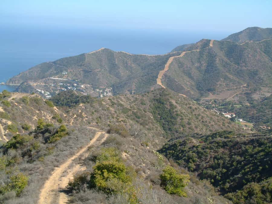 Avalon, Catalina Island: 2-Hour Inside Adventure Tour - Wildlife Viewing: A Highlight for Nature Enthusiasts