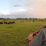 Bacalar: Calakmul, Palenque with a unique stop in the heart of the savanna - A Deep Dive into the Experience