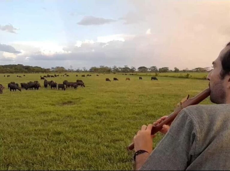 Bacalar: Calakmul, Palenque with a unique stop in the heart of the savanna - A Deep Dive into the Experience