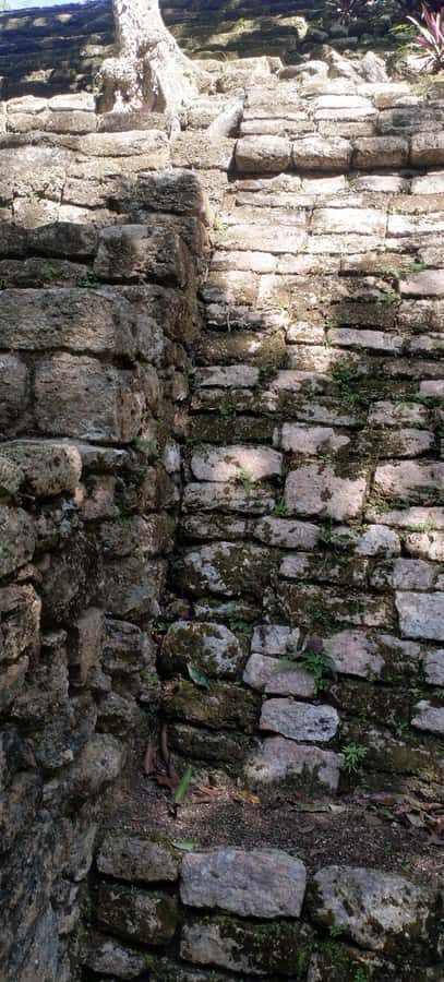 Bacalar: Ichkabal mayan temples & boat tour. - Authentic Experiences and Authenticity