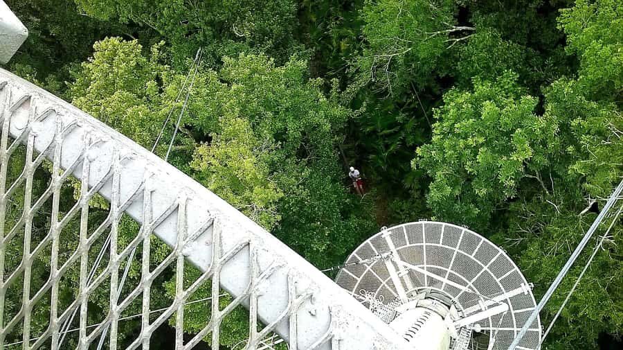 Bacalar: Kan Kin Zipline Tour - A Detailed Look at the Kan Kin Zipline Tour in Bacalar