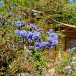 Bainbridge Island Discovery Tour - A Deeper Dive into the Bainbridge Island Discovery Tour