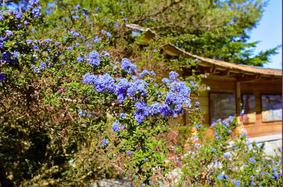 Bainbridge Island Discovery Tour - A Deeper Dive into the Bainbridge Island Discovery Tour