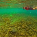 Balandra Beach Escape Snorkel & Wildlife Roundtrip Pichilingue - Final Thoughts