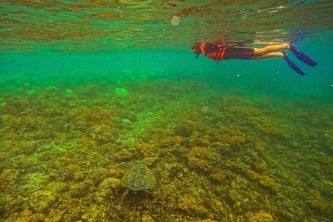 Balandra Beach Escape Snorkel & Wildlife Roundtrip Pichilingue - Final Thoughts