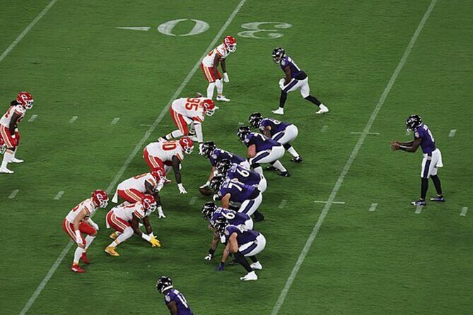 Baltimore Ravens Football Game at M&T Bank Stadium - Who Should Consider This Tour?