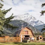 Banff: 3-Hour Bow Valley Loop Horseback Ride - An In-Depth Look at the Banff Horseback Experience