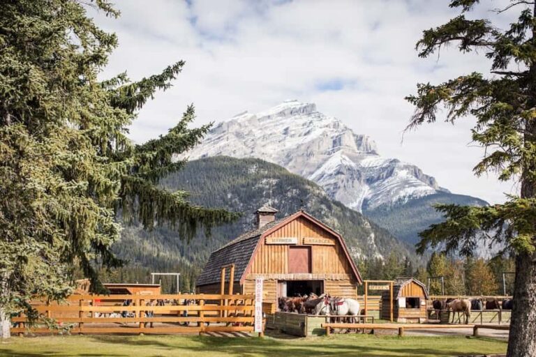 Banff: 3-Hour Bow Valley Loop Horseback Ride - An In-Depth Look at the Banff Horseback Experience